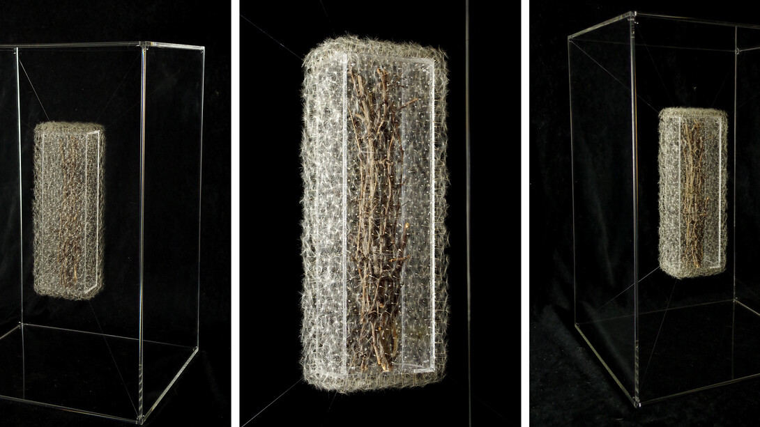 Isabel Consigliere, Requiem per un biancospino