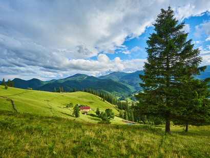 Alpeggio in montagna con prati freschi e in fiore: "Ecco l’alpeggio di Tarasp! Finalmente a casa! La vecchia costruzione in legno e pietra ci accoglie con il suo odore famigliare creando subito una atmosfera diffusa di pace e beatitudine. Ce l’abbiamo fatta. Siamo salvi!"