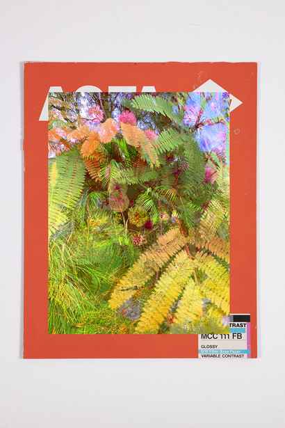 Christine Nguyen, Garden Picture 1, 2024.
Archival pigment inks on paper,
18.5 x 15 in. (47 x 38.1 cm),
Edition 1/2. Courtesy of the artist and David B. Smith Gallery