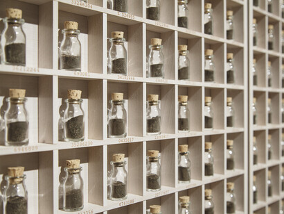 Nadia Kaabi Linke, Tunisian Americans (detail), 2012, Photo © Paolo Costa