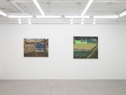 Ann Toebbe, Field and stream of consciousness, exhibition view. Courtesy of Nicelle Beauchene Gallery