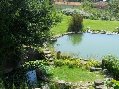 Isola Polvese (PG), Villa Citterio, giardino con piscina (Pietro Porcinai, 1959-60)