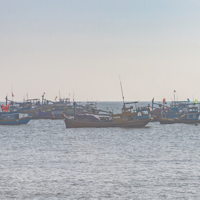 Pesca. La Convenzione internazionale del 2004, per il controllo e la gestione delle acque di zavorra e dei sedimenti delle navi, impone il cambiamento frequente delle stesse durante la navigazione per diminuire la distanza di trasporto delle specie alloctone invasive