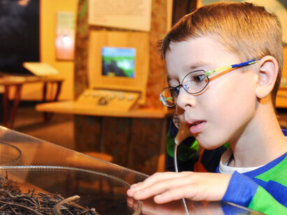 Making Models. Courtesy of Museum of Science 