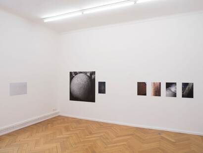 Peter Piller, Bürgerliche dämmerung, ausstellungsansicht. Mit freundlicher genehmigung der Galerie Barbara Wien