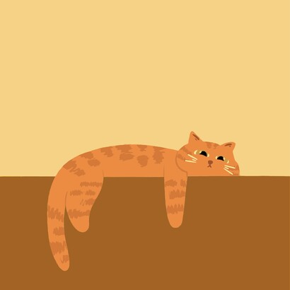 I gatti al sole, i ragni negli angoli: una casa non appartiene mai a uno solo