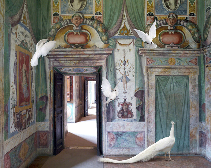 Karen Knorr. Courtesy of Jackson Fine Art 