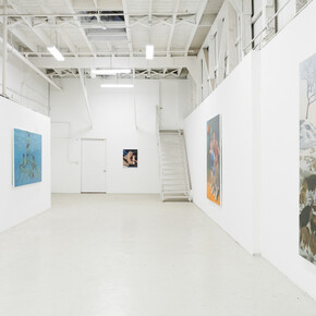 Amanda Ba, For sport, exhibition view. Courtesy of Micki Meng Gallery