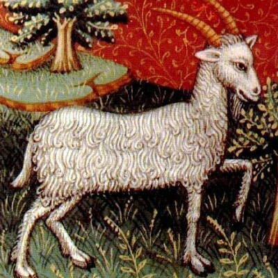 Il segno del Capricorno