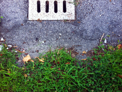 Guerrilla, Erbacce, Terzo paesaggio