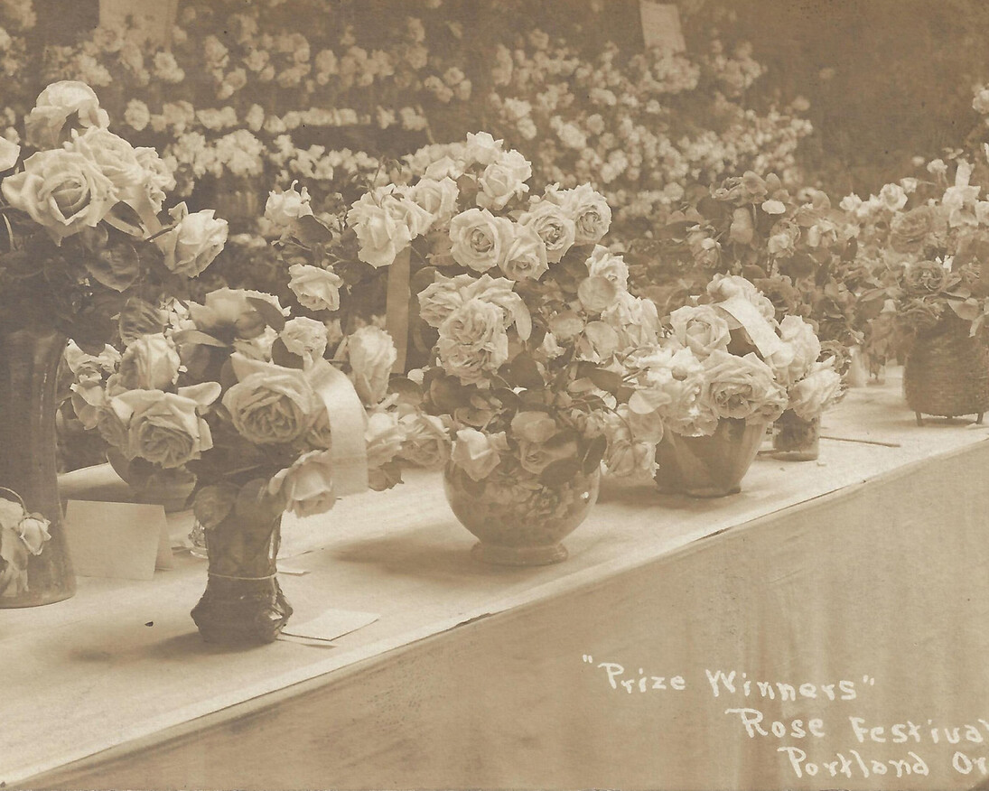 Madame Caroline Testout. Courtesy of Oregon Historical Society