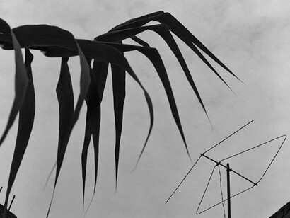 Manuel Álvarez Bravo. Courtesy of FRYE