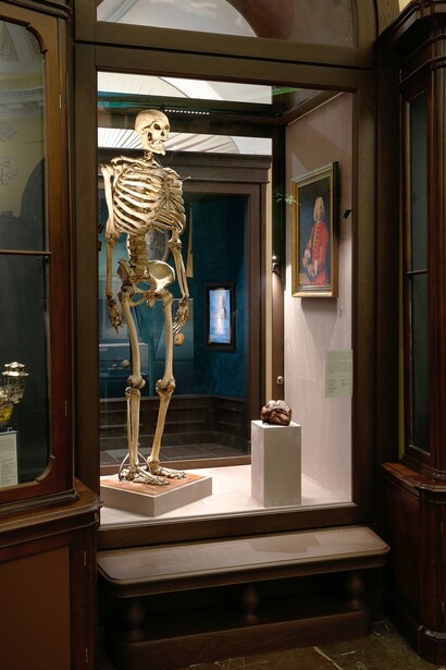 Peter’s Kunstkamera, or the tower of knowledge, exhibition view. Courtesy of Kunstkamera