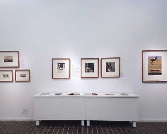 Deborah Bell. Courtesy of David Krut Projects