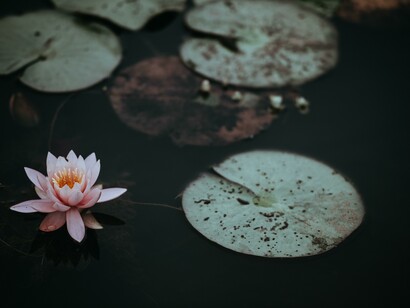Senza un corpo libero da tensioni muscolari sarebbe difficile potersi concentrare sul respiro ed essere poi pronti per entrare in meditazione