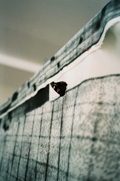 Armando Andrade Tudela, Detail of the work Metades XXL shot in the artist's studio. Photo: Courtesy Galeria Fortes Vilaça