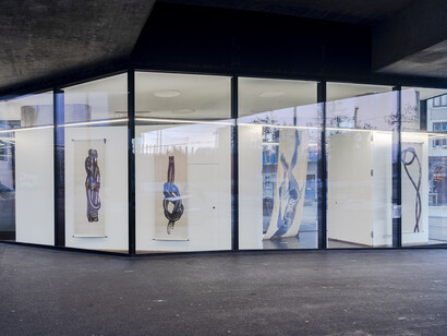Carlotta Bailly-Borg, Family Affair, 2022. Installation view, Vitrine, Basel. Photographer Marcel Scheible