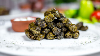 Yaprak sarması features minced meat and spices wrapped in grape leaves, served with plain yogurt, showcasing a classic side of Turkish cuisine