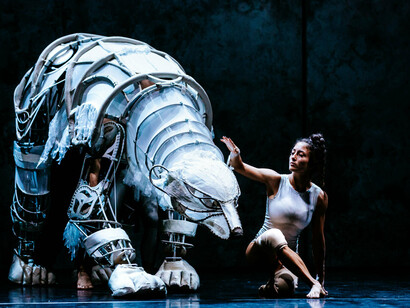 Recirquel Cirque Danse di Budapest, Solus amor. Dieci artisti, per un’ora e un quarto, sono impegnati a raccontare con la loro fisicità una storia di fede e amore