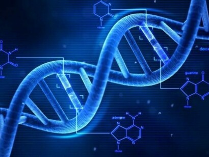 DNA ancestry test: many individuals have indeed participated in DNA Heritage projects
