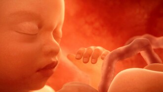 Un bebé en el vientre de su madre