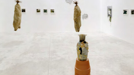 Any Means. Courtesy of Michel Rein Gallery 