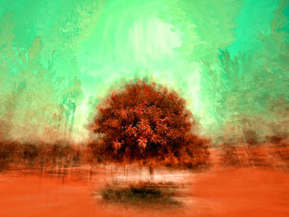 The gentle breeze brought in the sounds of rural India