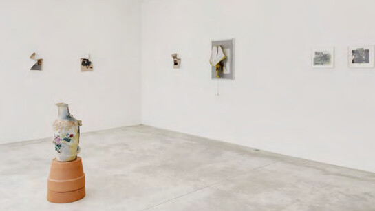 Any Means. Courtesy of Michel Rein Gallery 