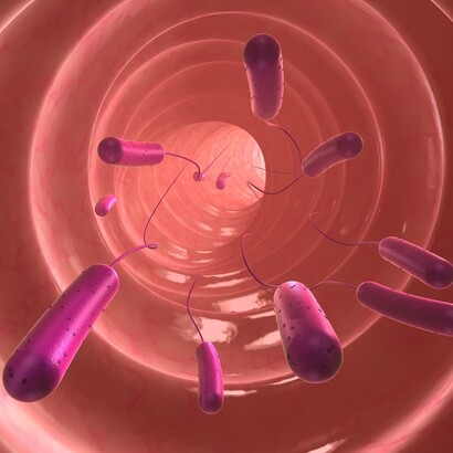Intestinal bacteria