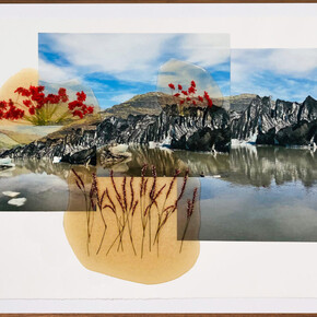 Jil Weinstock, Fjall Tindur Is (Mountain Peak and Ice), 2024. Photographs, rubber, plant life, and thread on Rives BFK paper, 19 x 26 inches. Courtesy of Winston Wächter Fine Art, New York 