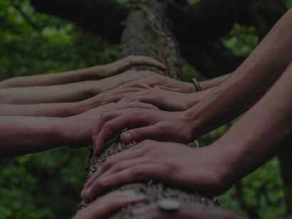 Different hands from a group that is showing force in solidarity and teamwork by placing them on a tree log