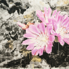 Eric LoPresti, Lewisia with Crystal Background, 2016. Courtesy of Elizabeth Houston Gallery