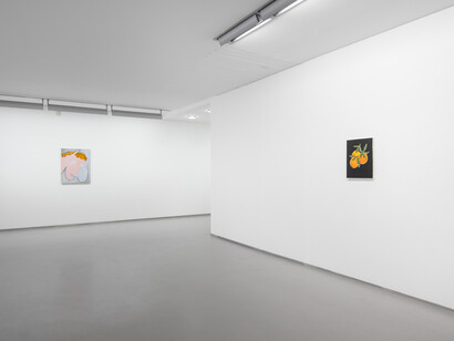 Sarah Bogner, Fallende früchte, ausstellungsansicht. Mit freundlicher genehmigung der Galerie Bernd Kugler