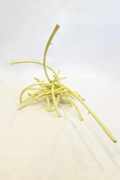 Natalie Kuenzi, Bramble, 2024. Courtesy of Pentimenti 