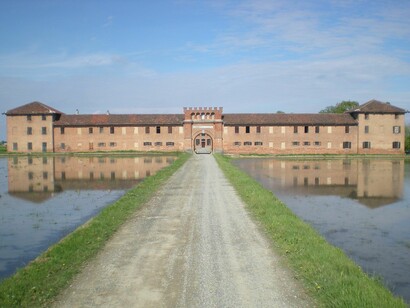 Risaia allagata nella Tenuta Colombara, Vercelli