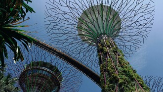 A low-angle shot of the iconic Supertrees at Gardens by the Bay, Singapore, Singapore