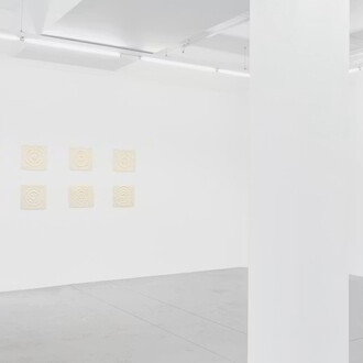 Sarah Pillen, From the field, exhibition view. Courtesy of Hopstreet Gallery