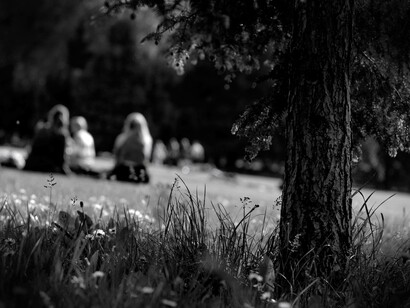 A picnic in Vondelpark located in Amsterdam, Netherlands