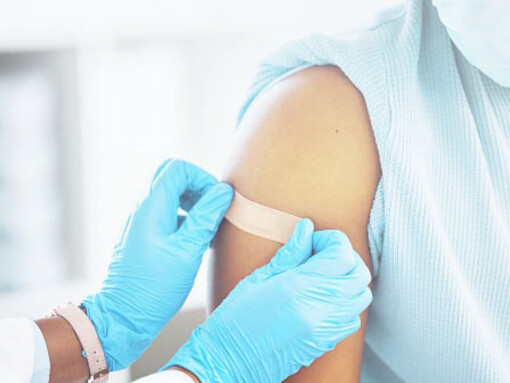 La plaie couverte par le pansement de Guérin guérit