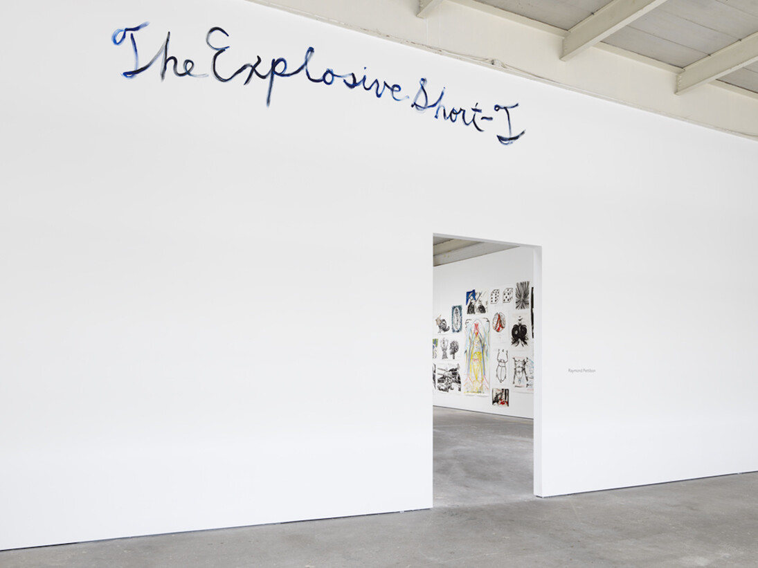 Th' Explosiyv Shoyrt T, Exhibition view. Courtesy of David Zwirner