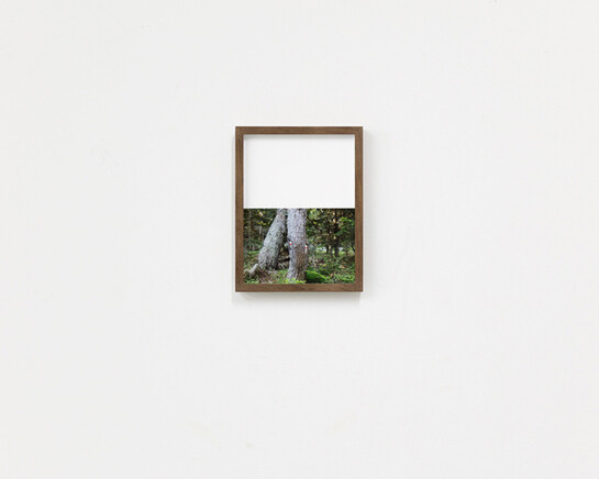 Irene Grau ≠. Courtesy of Maus Contemporary 