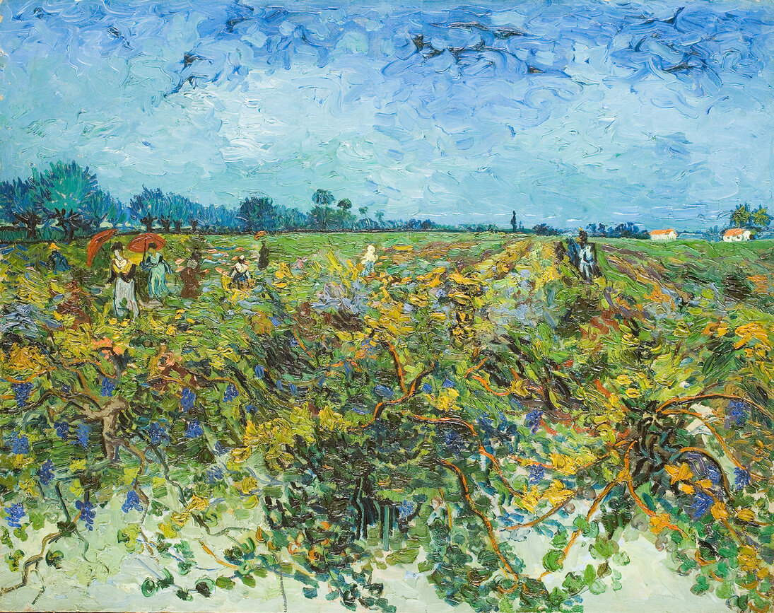 Vincent van Gogh, La vigna verde, Olio su tela, cm 73,5 x 92,5, 1888 Kröller-Müller Museum, Otterlo © Kröller-Müller Museum, Otterlo