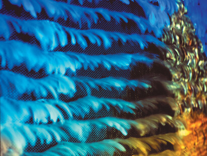 (Detail of) Mioon, Tourist Project, 2003, Video 2:17min. Feather, screens, fans, sound, image Courtesy of the Artist and Hanmi Gallery