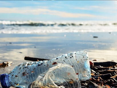 Pollution plastique 