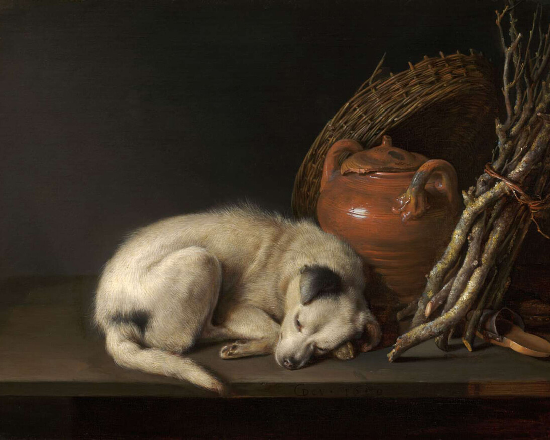 Masterpieces of Dutch and Flemish Painting. Courtesy of MFA