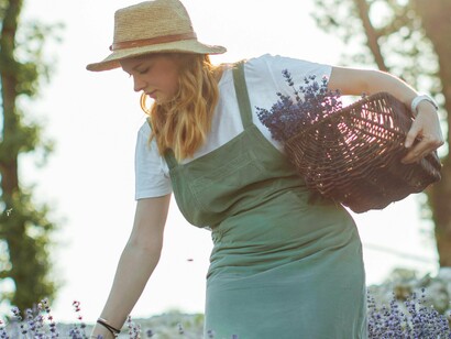 A woman in a straw hat and green apron gracefully picks lavender, bathed in warm sunlight, a sharp contrast with a world obsessed with pragmatism and productivity