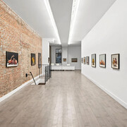 Luciano Ventrone, Legacy, exhibition view. Courtesy of Friedrichs Pontone