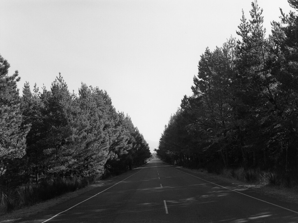 Robert Adams, Nehalem Spit, Oregon, 2013. © Robert Adams, courtesy Fraenkel Gallery, San Francisco