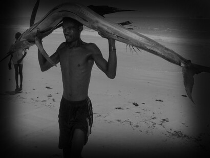 La costa somala abbonda di pescispada