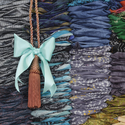 Suchitra Mattai, Show Pony (detail), 2023. Courtesy the artist and Roberts Projects